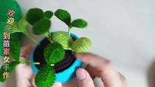 教你钩织简单的毛线小花盆，美观且耐用