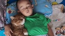 猫咪整天黏着小主人，连睡觉都在一起，我是拿它一点办法也没有！