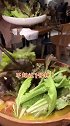 菜市场里吃火锅？会更鲜!