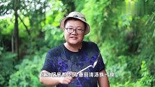 几百元买的食材，阿米做酸汤鱼火锅，阿公也很喜欢吃