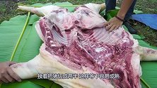 越南人用超大锅“篜猪”，插满竹签像刺猬，2小时过后不够抢！