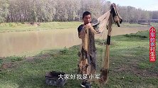小军野河撒网，上货各个品种的鱼，最后捞上一条大鲤鱼，真喜人
