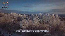 阿尔山发现一神秘生物，视力较差像瞎子，闻分泌物就能辨雌雄