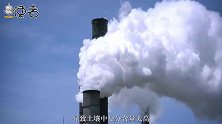 穴居蟹正在改变美国生态系统，它们将重塑原始面貌，实在太强大了