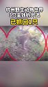 杭州野生动物世界3只金钱豹脱逃，已追回1只正全力搜捕另外2只