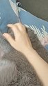 大家有什么好的鸡毛掸子推荐吗？打猫用！喵星人 猫 家有萌宠