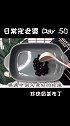 在夜深人静的时候，想喝奶茶、烧烤、火锅