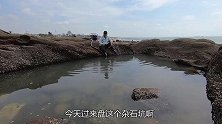 岸边浑浊水坑多种靓货聚集， 泰泰碰到鱼群，大赚好几百，乐坏了