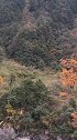 深秋的川西，色彩斑斓