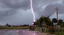 半夜电闪雷鸣，男子一早上山查看，遍地全是绵羊的遗骸！