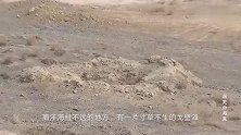 沙漠里水井干枯，露出5000座古墓，这个青铜物揭开墓主身份