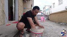 被泥鳅钻豆腐骗了十多年！今天终于真相大白，大家别再浪费粮食了