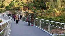厦门花几十亿打造的步道，堪称中国唯一，就连外国人也被吸引来了