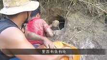 洪水过后，渠道旁边出现大泥洞，小伙一掏这下赚大了！