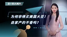 为何非得买美国大豆？中国不可以自给自足吗