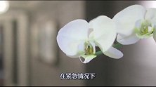酒店总统套房为何要上万元一晚？有五项隐藏服务，外人很少知情