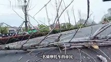 江西一大树突然倒伏横卧马路，一名骑摩托车市民紧急制动避险摔翻在地，当地回应