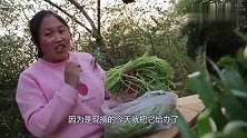 乡村春景别有风味，胖妹溜达一圈，买3斤芦蒿，清香爽口吃过瘾！