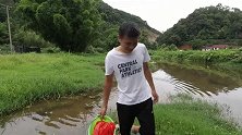 小伙来河里网鱼，河水很浅白条很多，网友：真羡慕