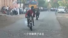 印度小哥骑摩托车“挑衅”公牛，牛-气死了