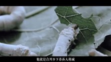上甘岭战斗英雄蒋诚：退伍返乡扎根农村36载，淡泊名利守初心