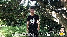 广西灵山夏至狗肉荔枝节明天就到了，梁哥说吃狗肉一定要配荔枝