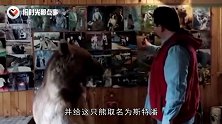 俄罗斯夫妇捡了一只小熊，养了十几年后，已经没一点“熊样”了