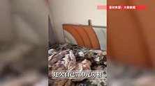 3名女孩2个月将房子住“包浆”，马桶堵住后用猫砂盖住
