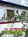 四川成都：美女摘了一颗樱桃尝味道，瞬间酸到表情失去管理