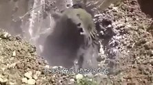 石壁频频传出兽叫，村民挖掘机挖开后，脸色大变！