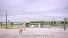 神奇的轮滑鞋套,穿上后被狗拉着跑,这是“狗遛人”