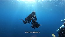 520为关爱海洋生物发声 看台达8K技术呈现“鲸碳之歌”