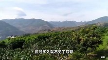 四川攀枝花1岁多男童家门口失踪已5天，警方已立案调查