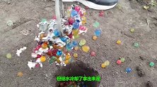 用1000度铝水浇灌西瓜会怎样，老外亲测，结果出乎意料！