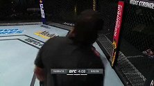 UFC格斗之夜173：兰多-万纳塔VS鲍比-格林