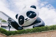 萌兽大熊猫大型主题公益科普展 全国首展呆萌落沪