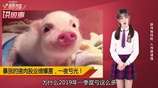 猪肉股业绩爆雷，一季度亏光全年利润！