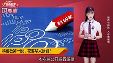 科创板第一股花落“华兴源创”！打新码688001