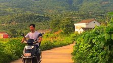 野外的垂盆草种到阳台，为什么变了样？农村大叔好怕网友质疑