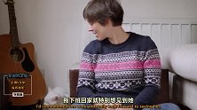 喵星人真的有9条命吗？不然怎么会从19楼坠楼还幸运逃生！