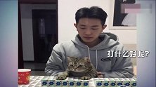 猫咪不要惹我，我超凶的，我咬人可疼可疼了