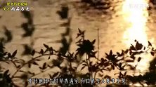 山西出土吕洞宾墓葬，墓中发现宋朝币，专家：难道活了200岁