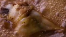 平平无奇的可乐，居然能做出这么多美食，一般人我可不告诉他