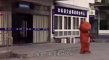顽皮熊抢了富婆的包包，没走两步就后悔了，哈哈哈