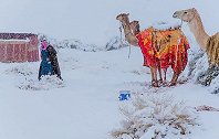 阿尔及利亚：“沙漠之门”罕见降雪，气温骤降至-2℃