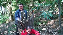 包立春和桃子姐捡柴回来，做一“盘龙五花肉”，肥而不腻，真美味