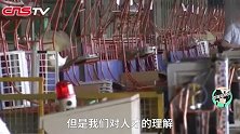 董明珠：普通人怎么把自己培养成人才