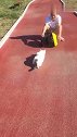 猫：外面太危险了，还是回家去！