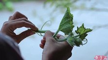李子柒：吃起来很香的炒南瓜藤，一道属于乡村的味道