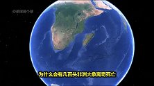 博茨瓦纳是个怎样的国家？几百头大象离奇死亡，是啥原因造成的？